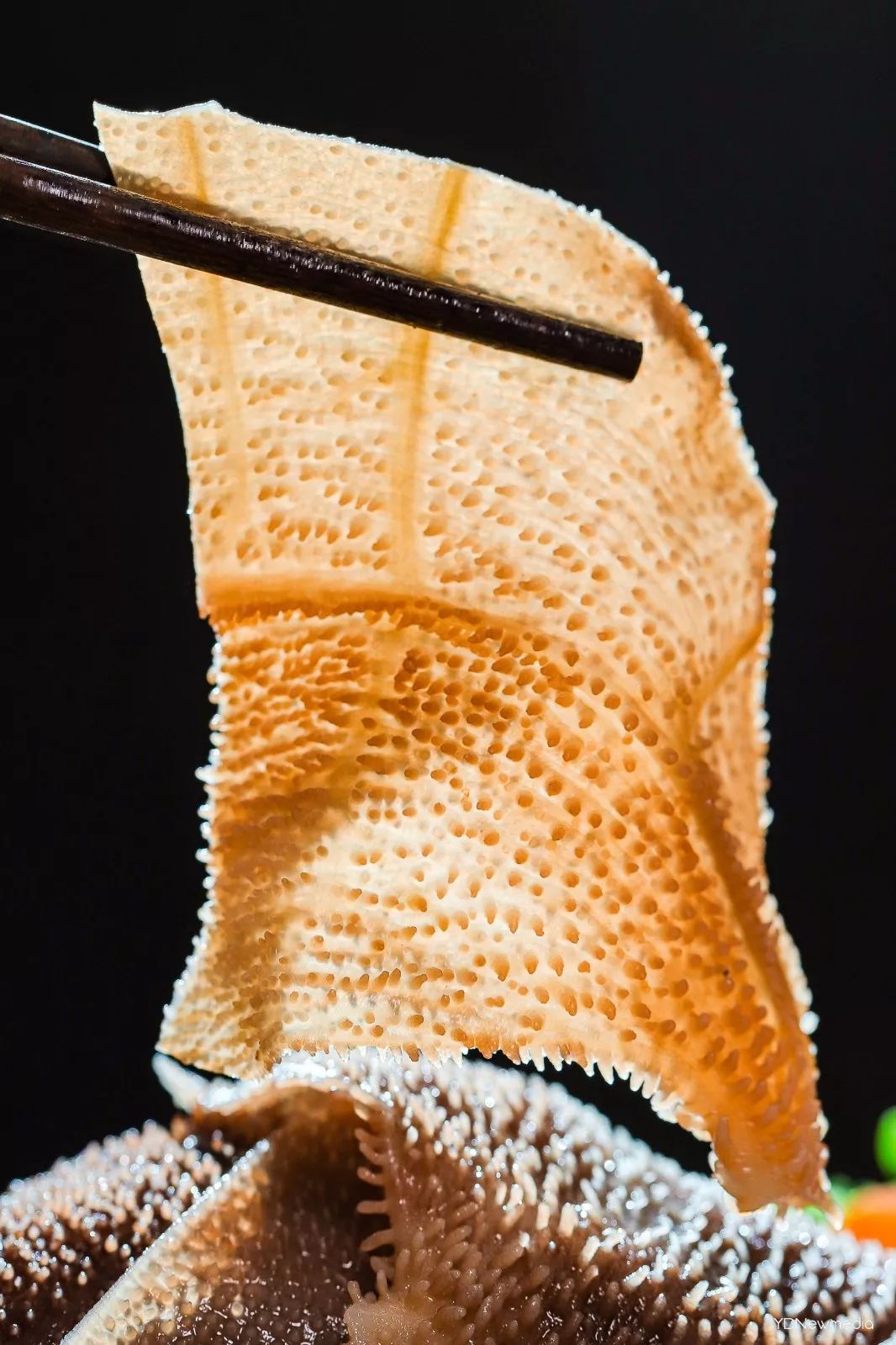 济南重庆火锅探店高新,济南探店美食传统火锅