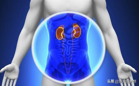 肾虚腰痛怎么锻炼,男人肾虚腰痛吃什么药调理