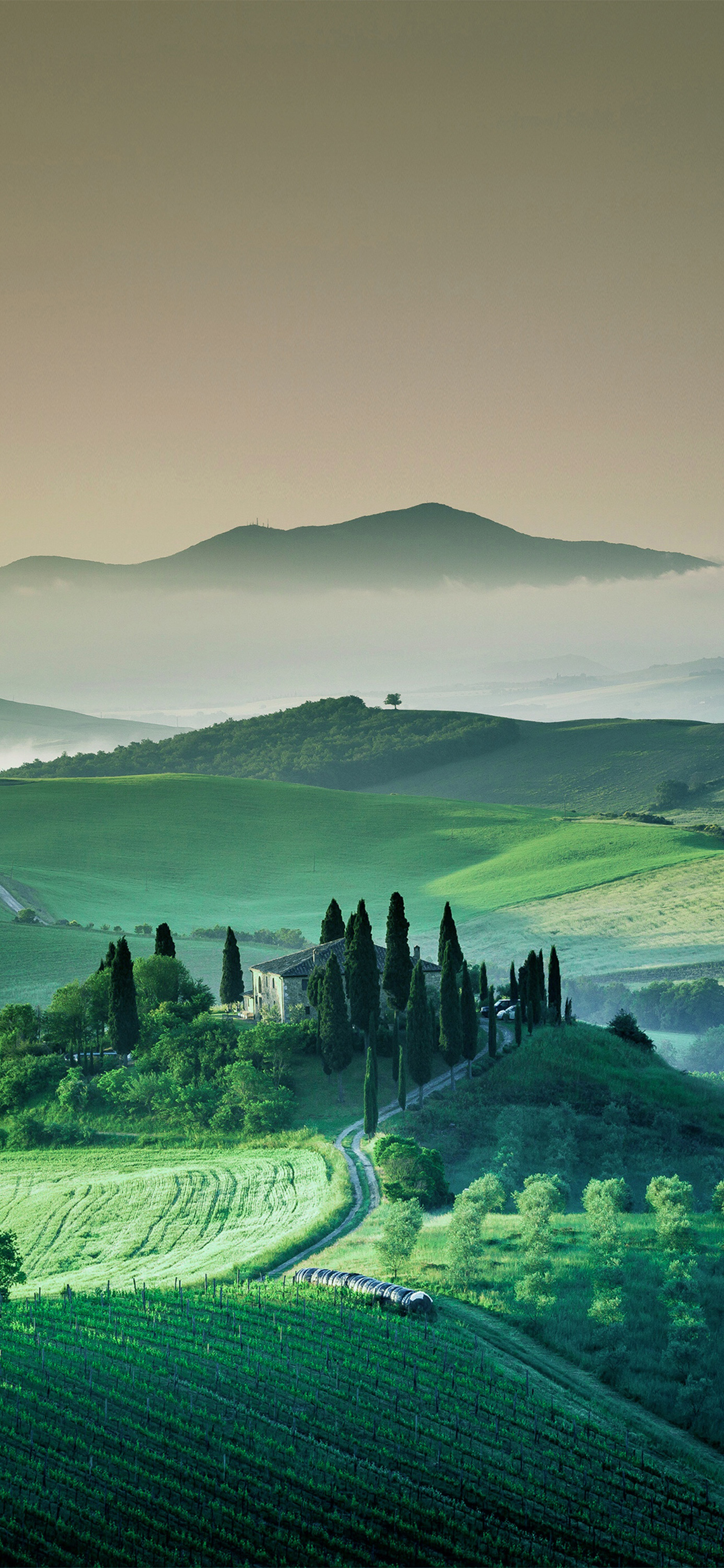 高清花和水的结合壁纸,风景壁纸高清全屏高级感组合
