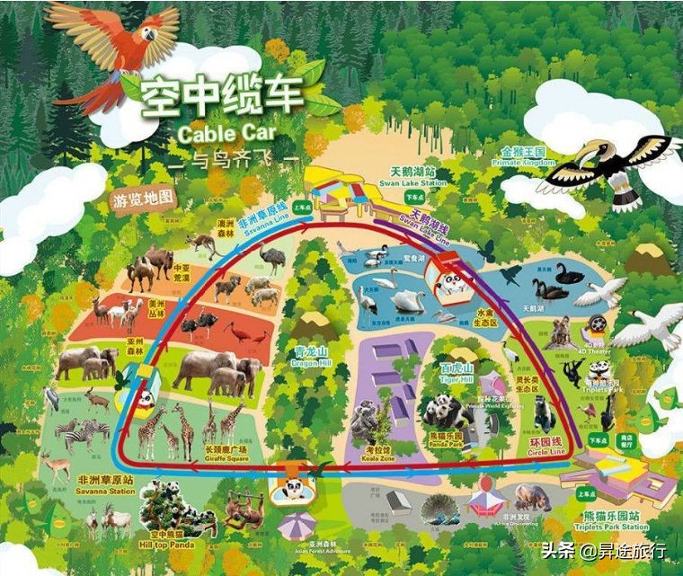 广州长隆野生动物园动物世界攻略,广州长隆野生动物园巡游8月13日