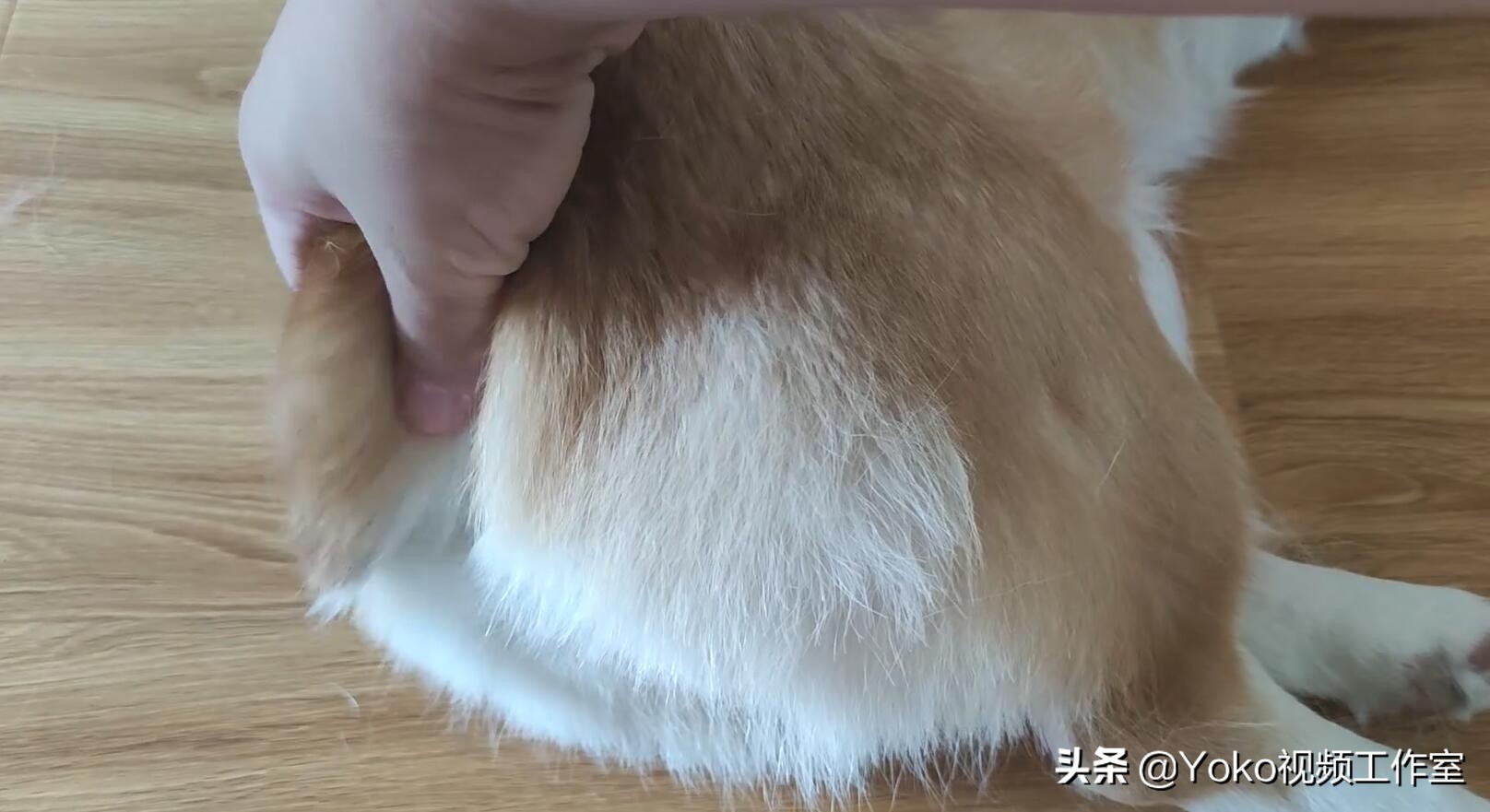 二手macbookpro怎么验货,二手苹果笔记本电脑如何验货