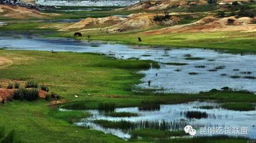 昆明周边自驾一日游露营烧烤,昆明适合自驾户外烧烤游玩的地方