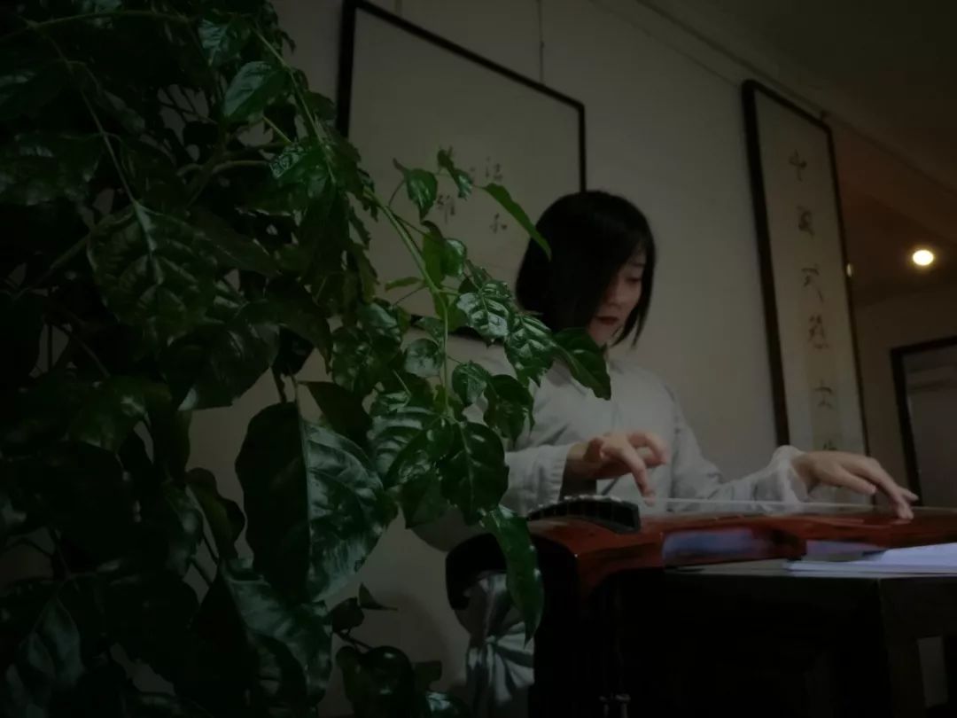 长安雅士古琴曲欣赏,长安雅士抚琴演奏