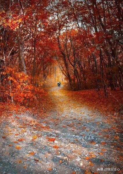 关于爱情感悟的说说心情短语,经典说说人生感悟爱情短句