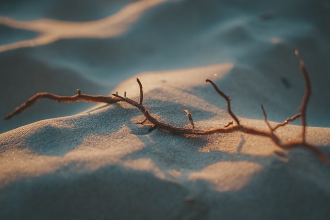 澳洲观鲸攻略,澳洲观鲸之旅