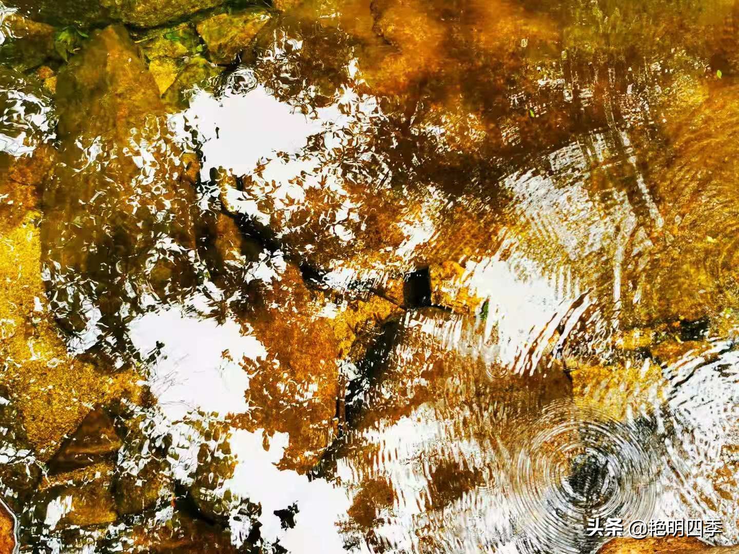 平顶山画眉谷旅行,鲁山县画眉谷视频