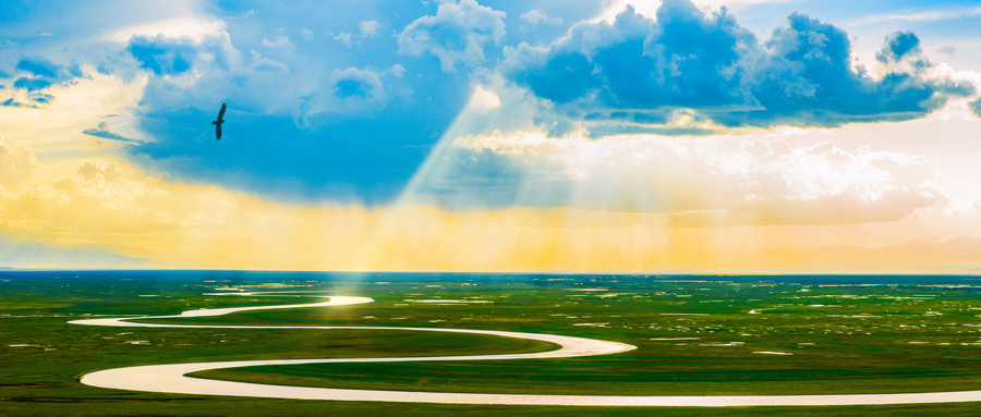 宣讲家文稿：【学*党**史】开天辟地的大事变——中国*产党共**的成立