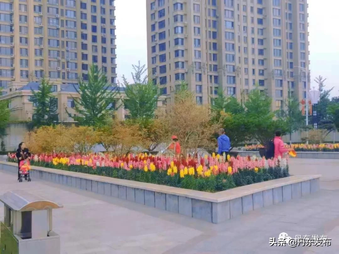 健身潜水两不误,健身娱乐两不误