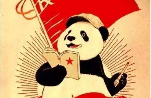 书山有路，莫让年华虚度——与我初一的学弟学妹们说说心里话