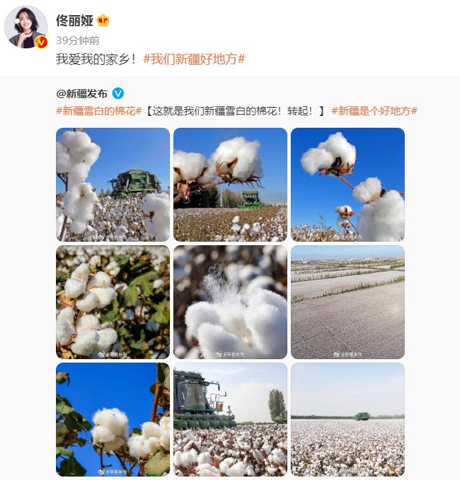 耐克阿迪hm事件,hm事件阿迪耐克会受影响吗