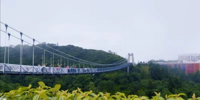 重庆武隆旅游事件,重庆武隆旅游最新消息