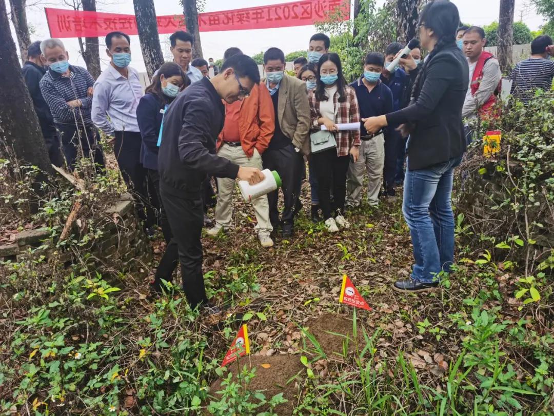 南沙｜@东涌街坊，专家建议，红火蚁得这样治