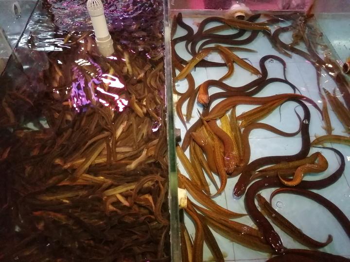 洞口城南农贸市场,洞口高沙农贸市场