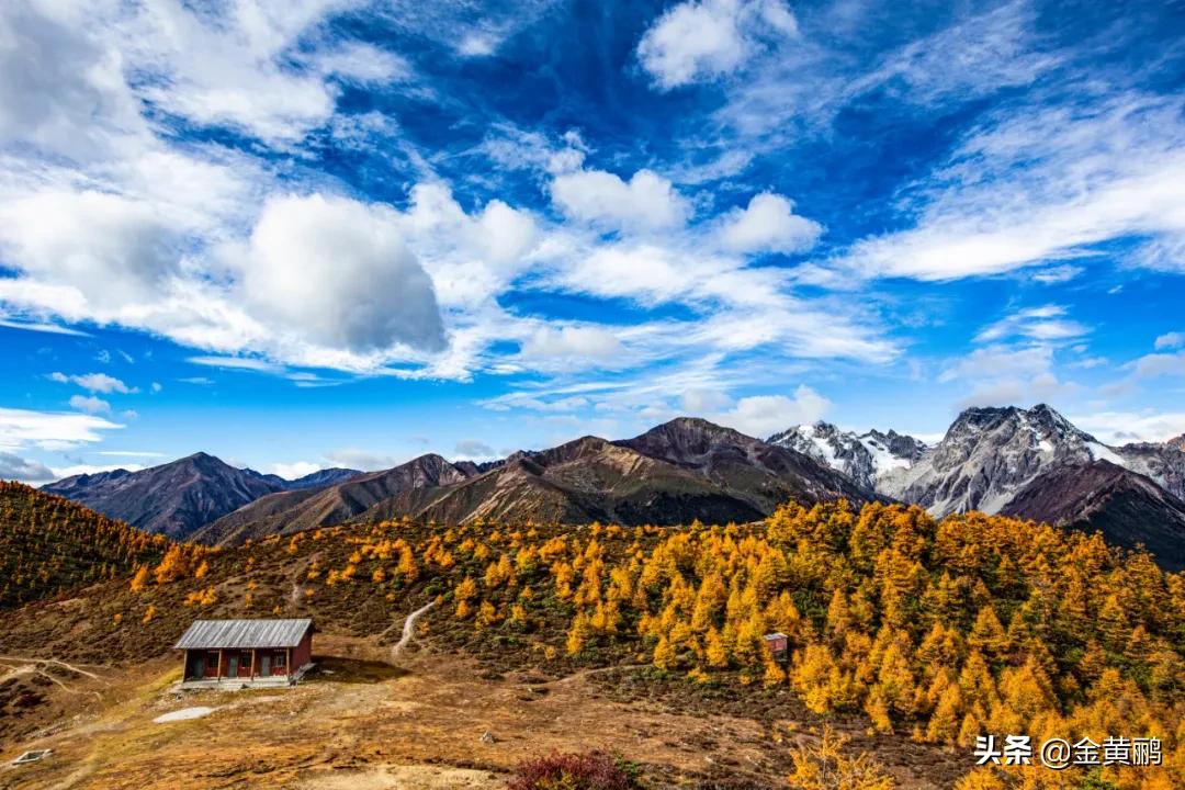 为什么云南女人长相好看,云南真的很漂亮吗
