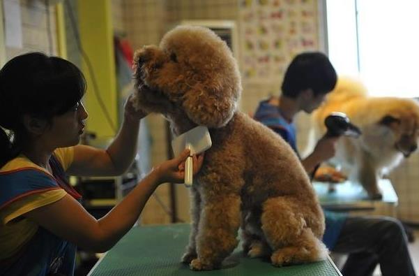 有前途好就业的专业,有前途的行业