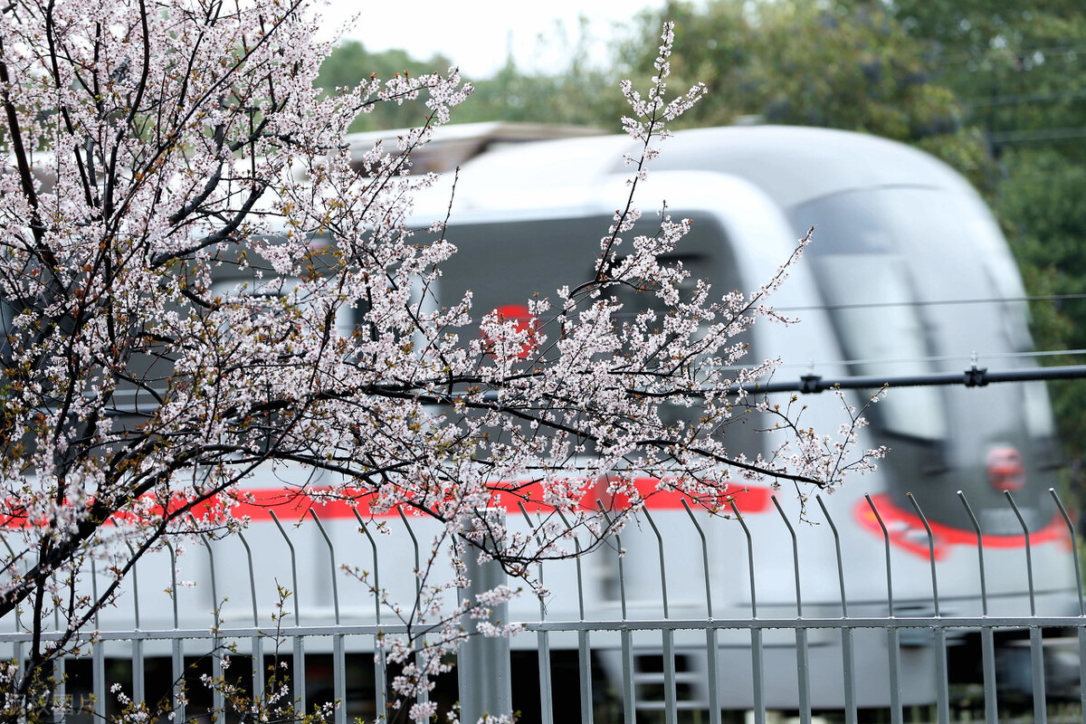 莘庄为什么是外环外一哥,上海莘庄成为城市副中心