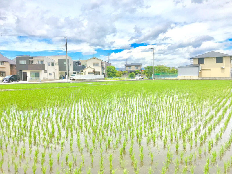 日本一顿难忘的午餐，14碟，只要1000日元