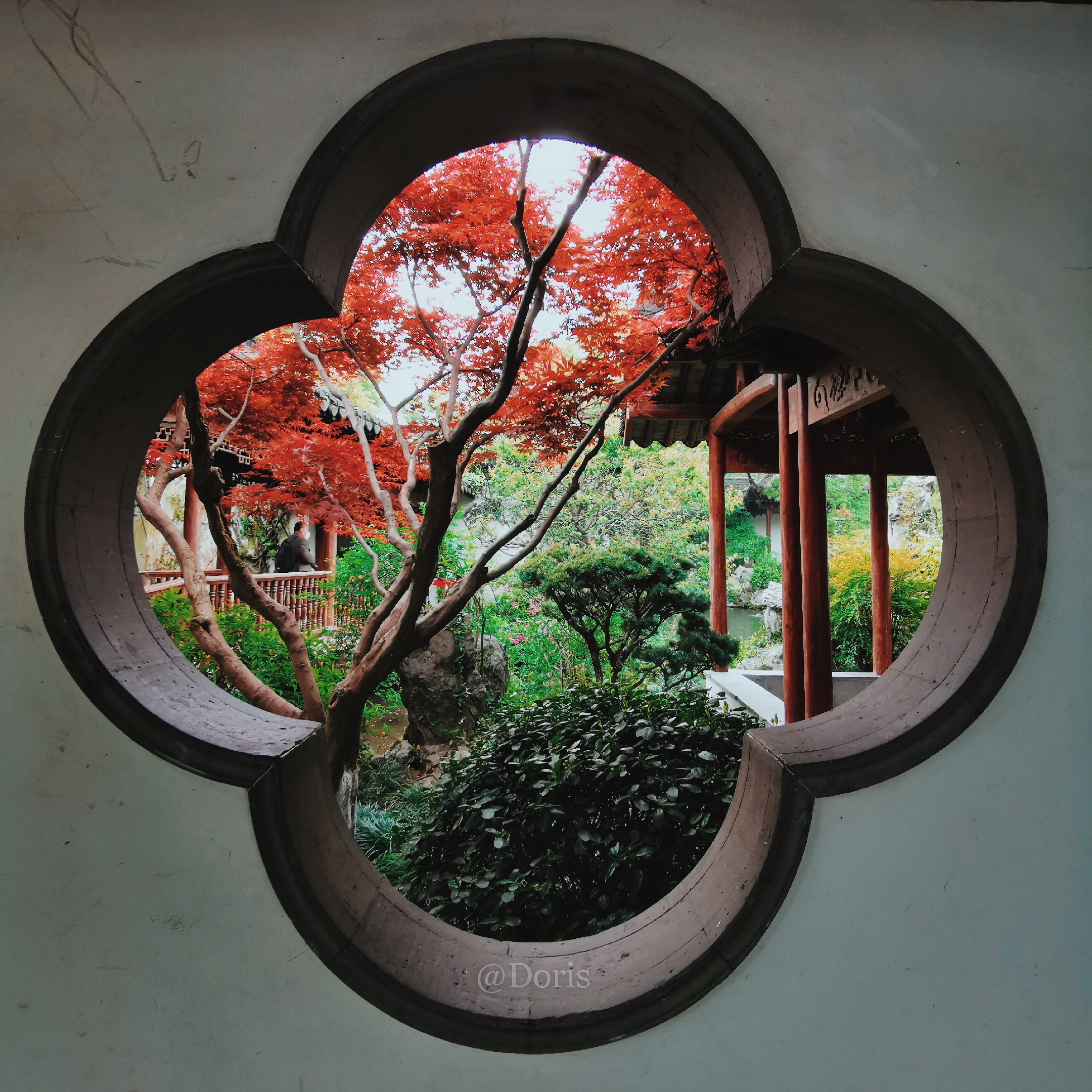 杭州适合散步小众景点,杭州人少景美的小众旅行地