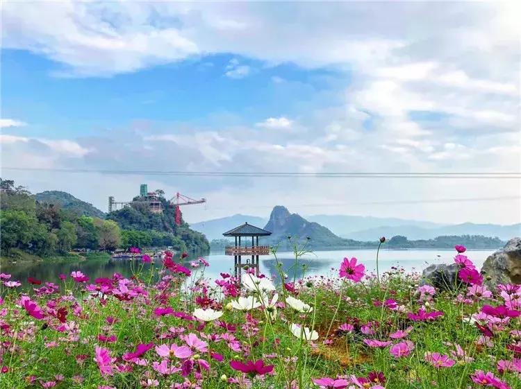 广东旅游景点游乐场玻璃桥,仙女山旅游攻略溶洞