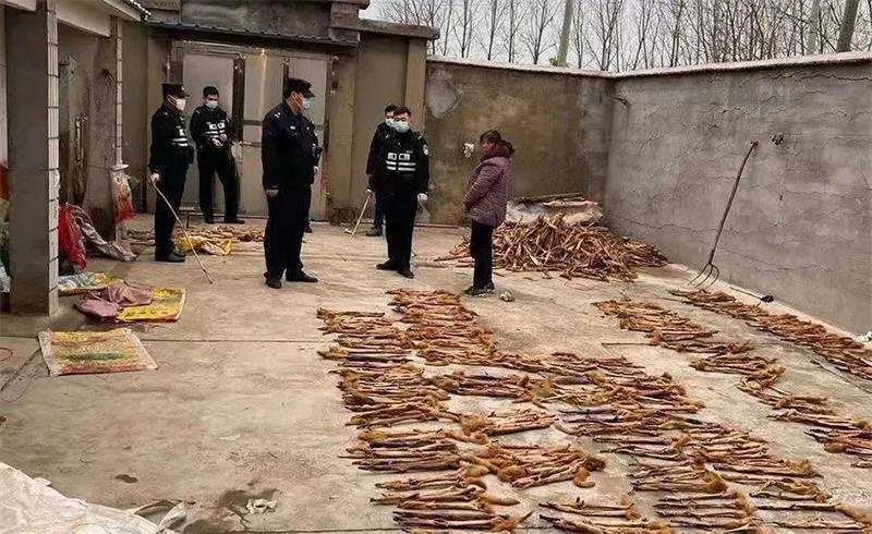 枪打黄鼠狼泡药酒，四川一男子被判刑！黄鼠狼为什么受保护？