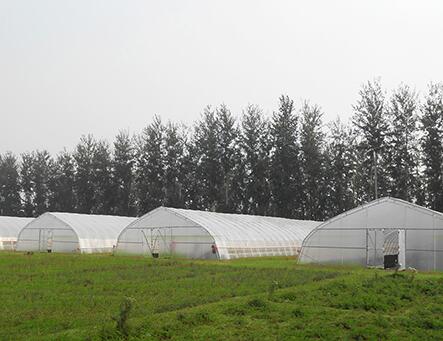 一亩温室大棚大概价格,塑料大棚日光温室连栋温室造价