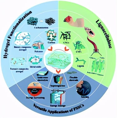 全纤维素超级电容器,木质素气凝胶超级电容器