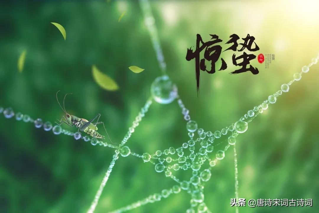 12首惊蛰诗词,关于惊蛰的诗句雷动惊蛰