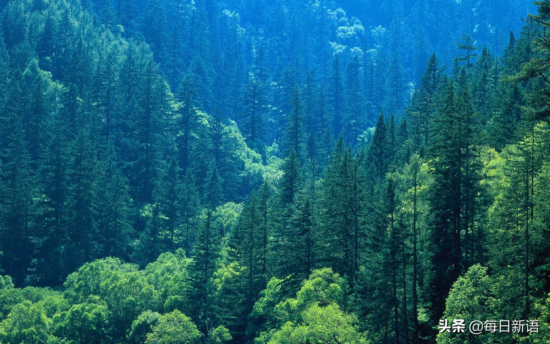 走投无路了才选择结婚,走投无路的时候会选择上船吗