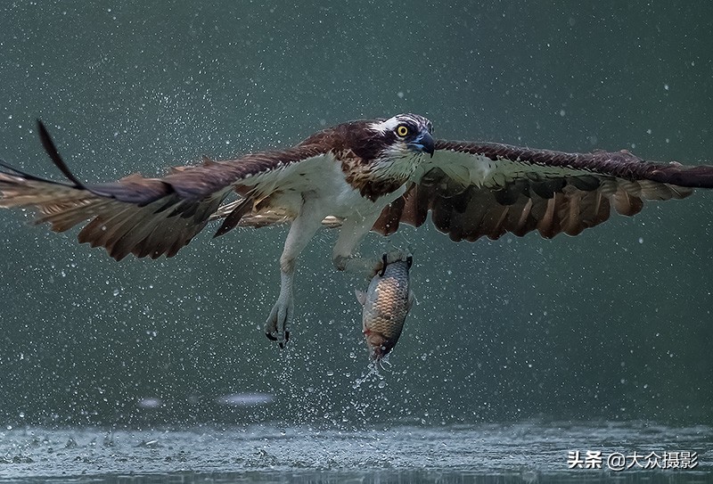 摄影如何提高锐度,佳能单反怎么提高锐度