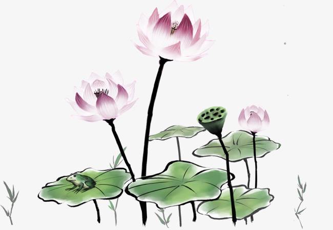 三句与荷花有关的诗句,关于荷花的优美诗句古诗