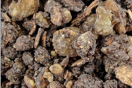 中药炮制的常识以及炮制的方法,中药炮制蜜炙的作用