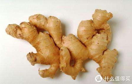 每天煮个饭就有神仙水！ 各种小窍门秘诀大公开