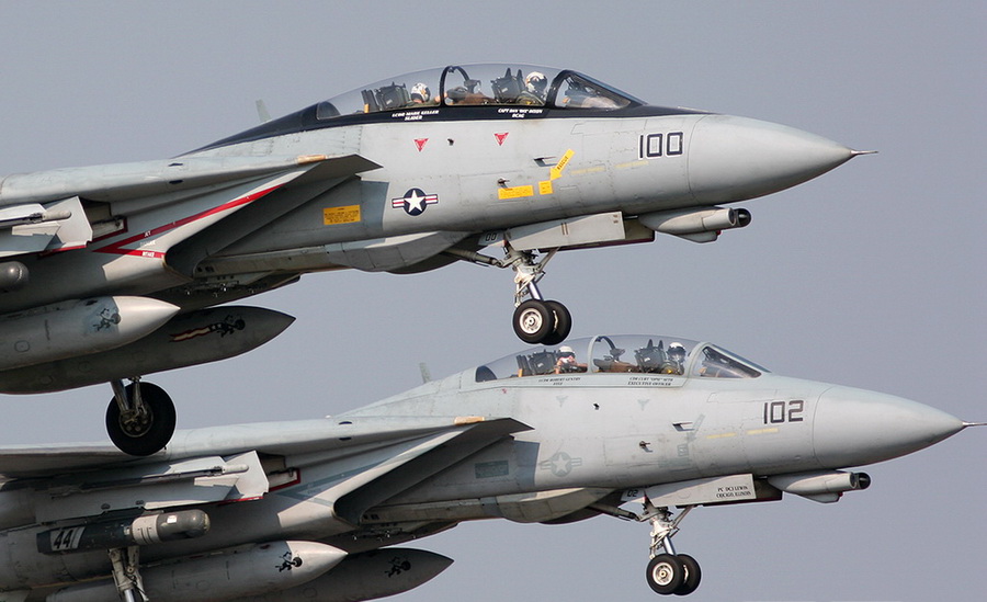 猫迷必备技能，F-14各型号的辨别