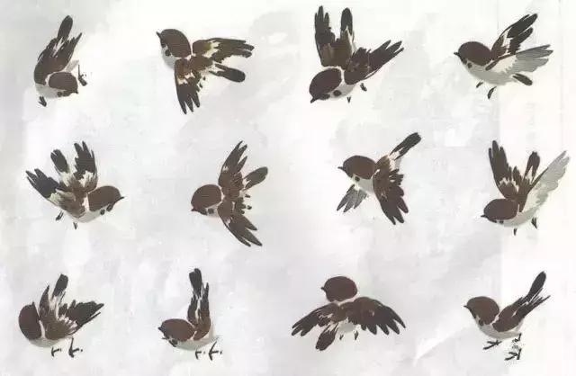 写意花鸟配景石的画法,干货写意花鸟类的画法