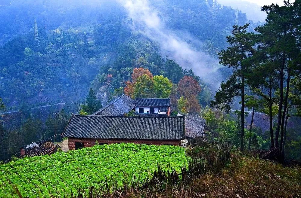 湖北深秋自驾游景点推荐,秋色彩林川西自驾