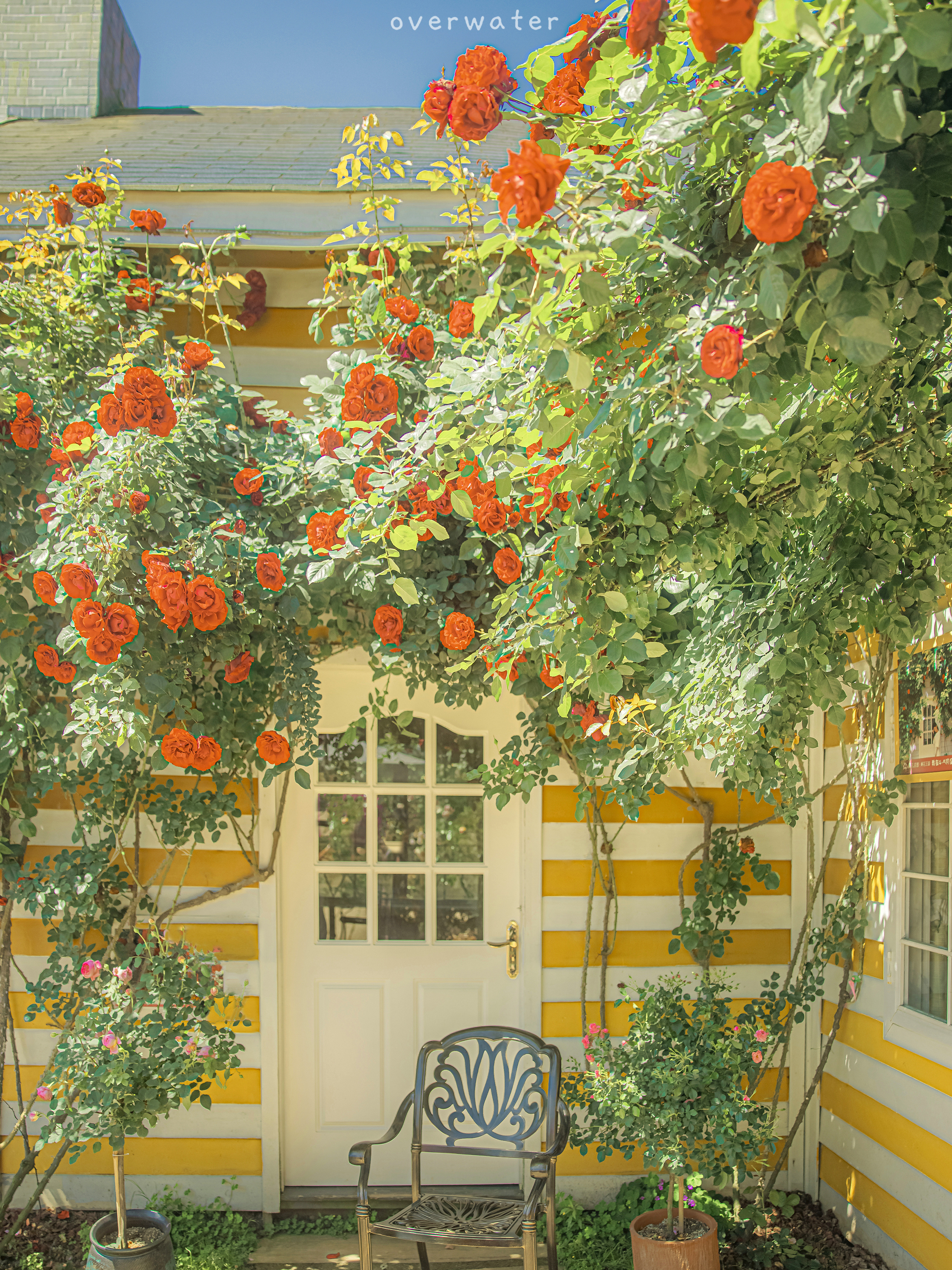 ipad治愈系壁纸超清动物,ipad壁纸唯美清新