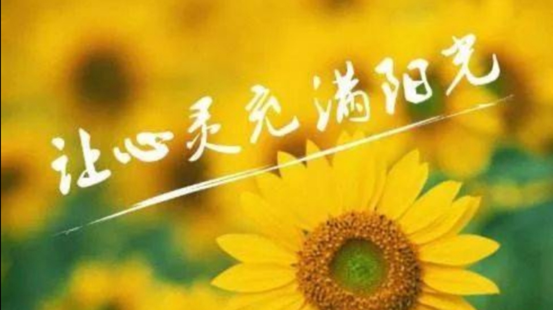 双语经典语录100句,地道英语口语1集