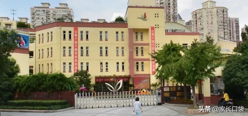 上海热门小学隐藏技：芭蕾、乒乓、潜水、书法、科技……样样有