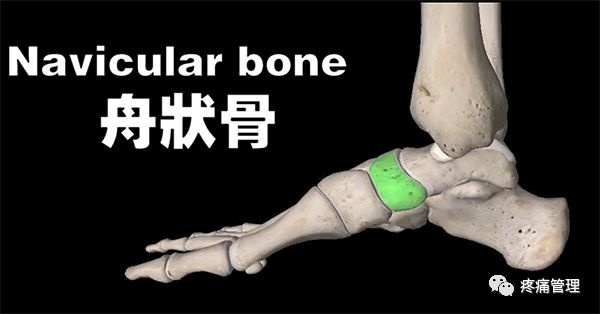 专门改善扁平足的运动,站着改善x型腿