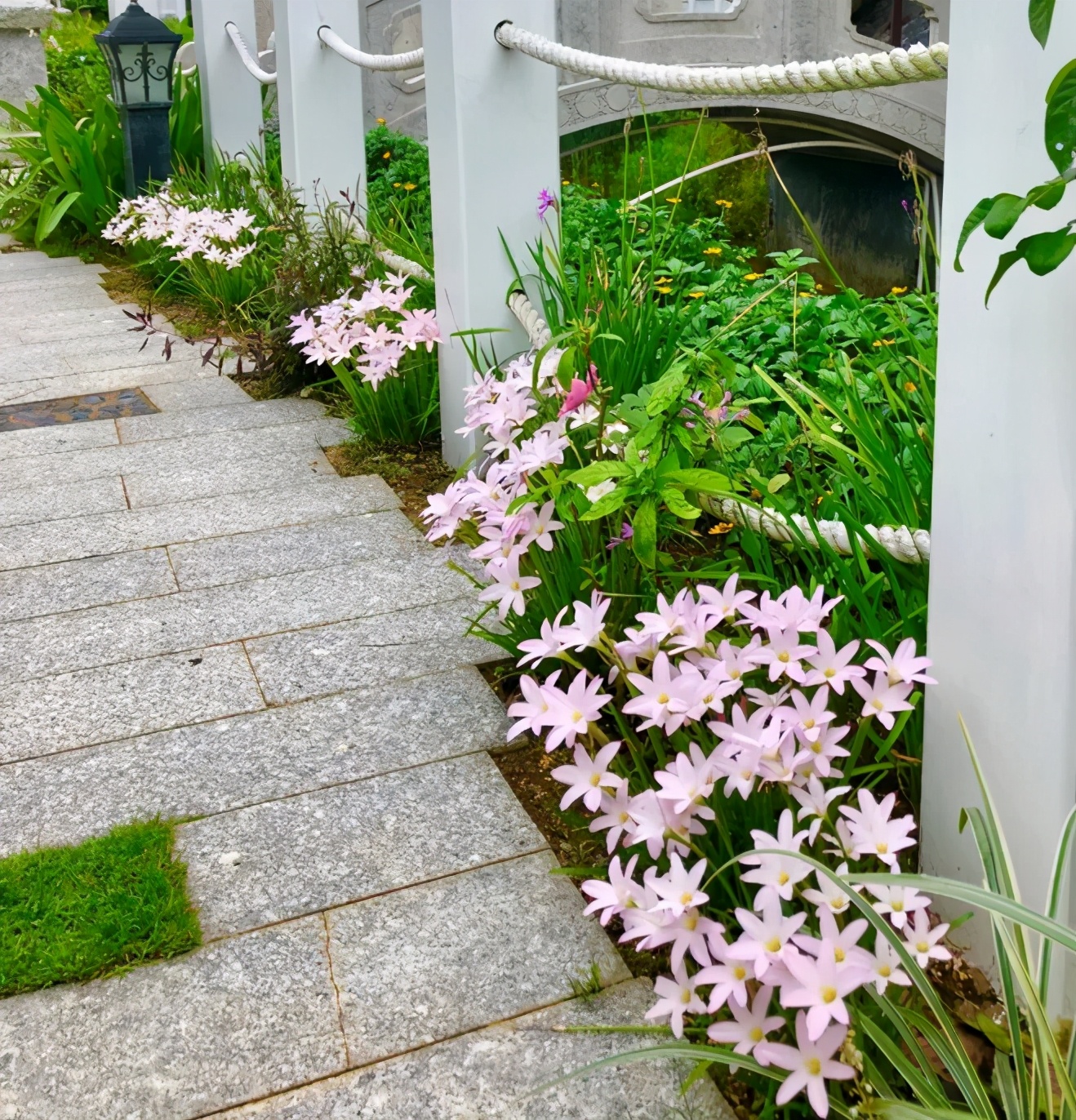花园庭院设计花卉园艺,花园搭配的草类植物