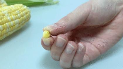 来自云南大山新鲜的橙子,新鲜爆甜水果玉米