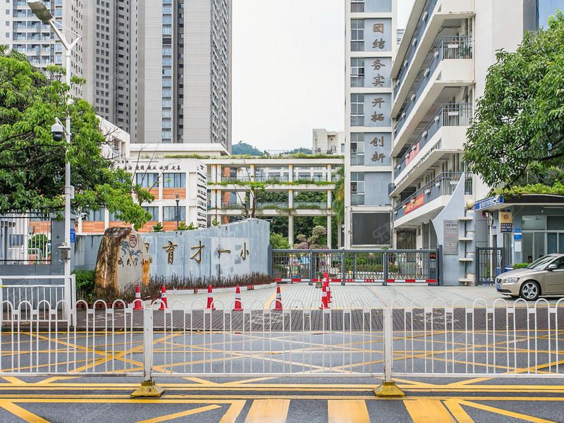 王炸组合第一,高考王炸组合哪三科