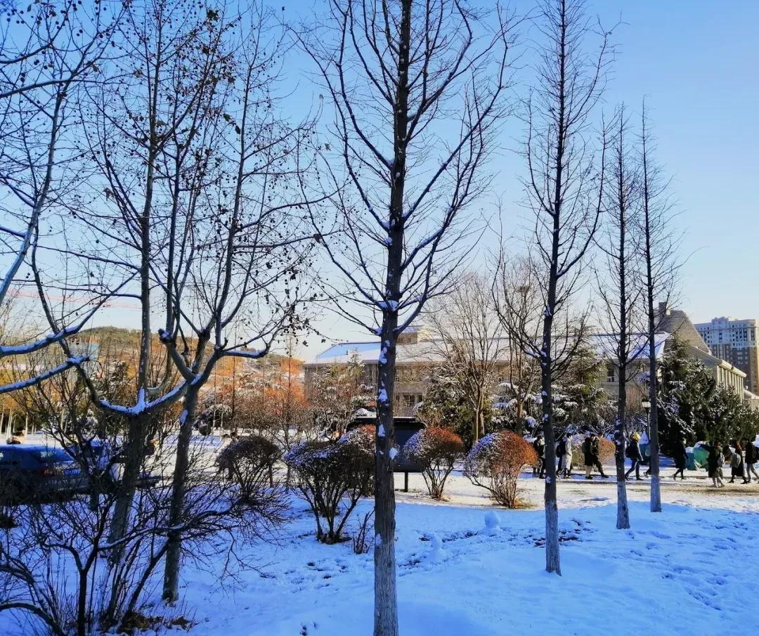 辽宁大连民办大学,大连辽宁二本大学