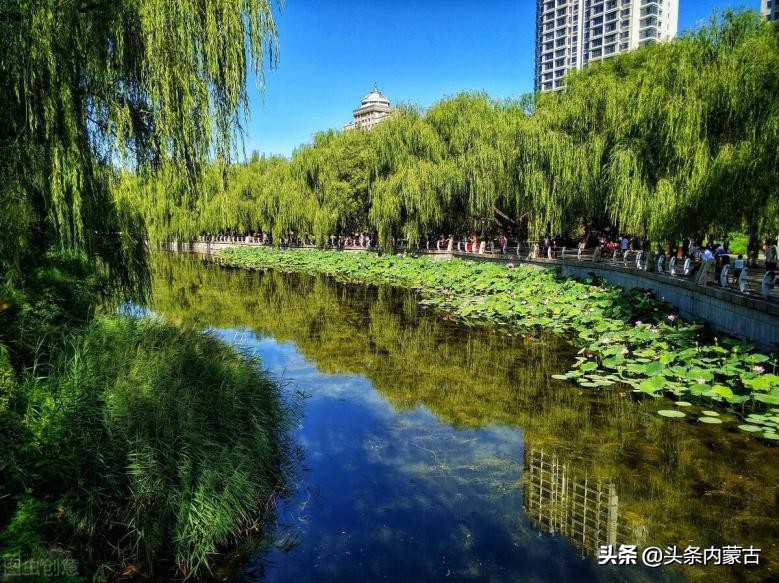 呼和浩特青城公园游览图,呼和浩特青城旅游景点