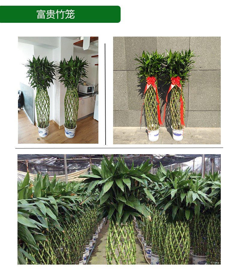 太原朋友店开业送什么礼物,青岛朋友开店都送什么