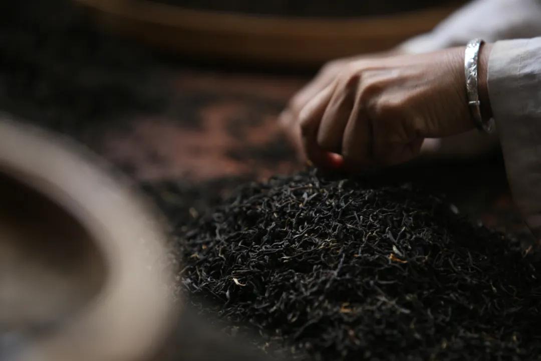 泰国西双版纳旅行,西双版纳基诺山热带雨林徒步