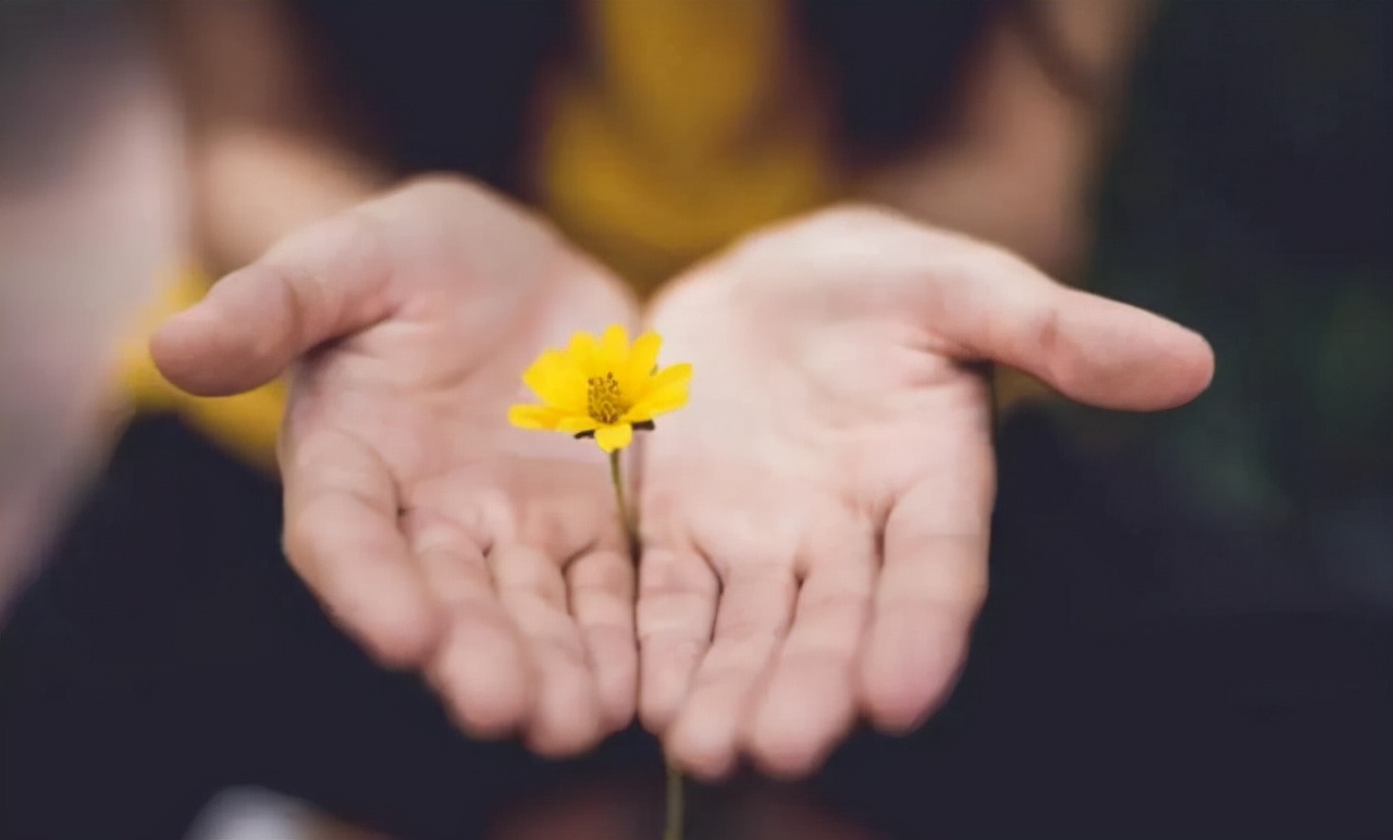 如果，你爱的人不爱你了，真正聪明的做法不过只有一种