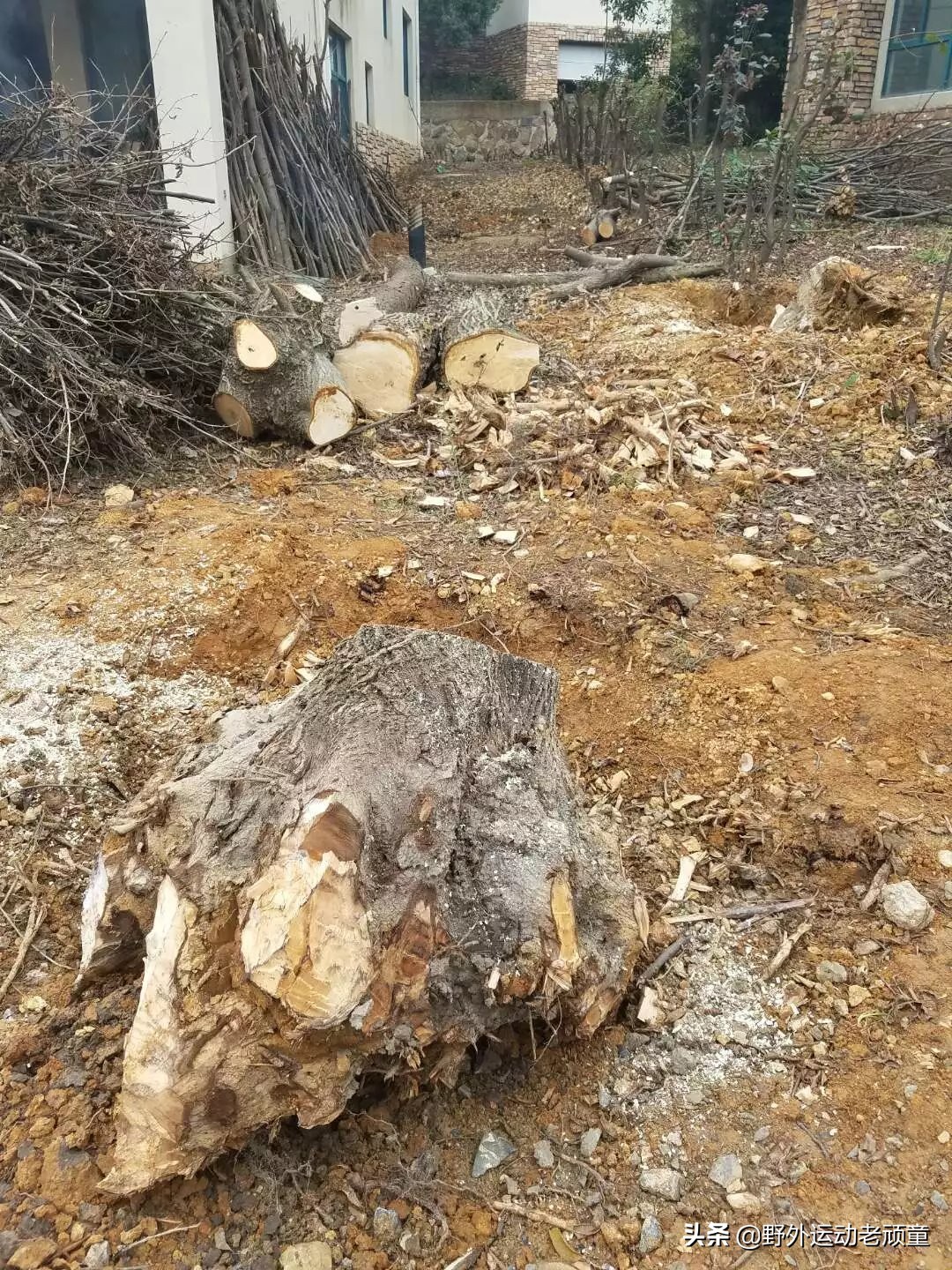 幸福家园打造记之——DIY的数十个根雕“出山”记