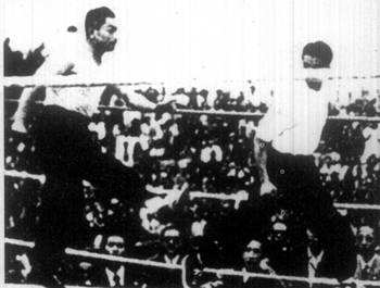 散打融合了哪些传统武术,中国散打起源