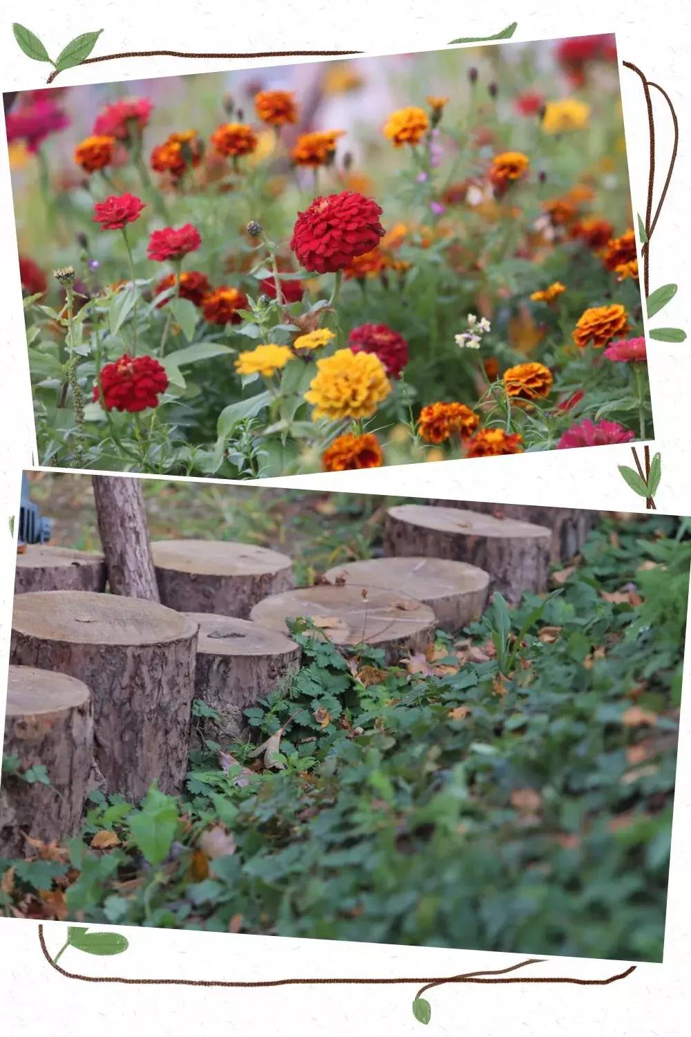 西城新建口袋公园,打造口袋公园绿地